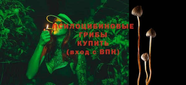 гидра Наволоки