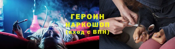 гидра Надым