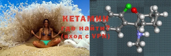 гидра Надым