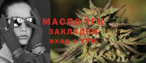 гидра Надым