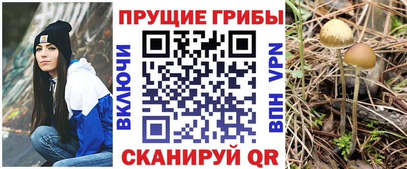 Псилоцибиновые грибы мицелий Остров